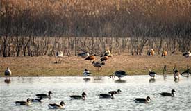 �ƺ��뺣��ʪ��ӭ����������