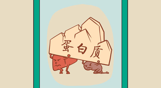 吃蛋白粉+健身?小心你的肾