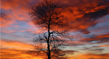 土耳其萨姆松日落晚霞瑰丽似火