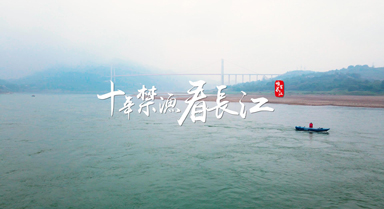 ʮ濴̹ĸ׺