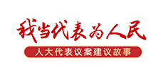 我當代表為人民——人大代表議案建議故事