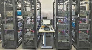 探针计算机：让数据自己找答案
