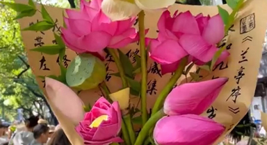 蘇州荷花市集開張 熱鬧又浪漫