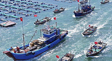 千船竞发耕蓝海