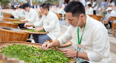 江西庐山：赛技能 强产业