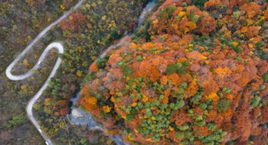 陝西南鄭:秋色斑斕