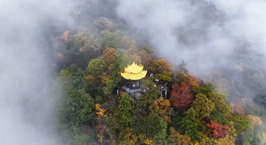 航拍深秋天目山 宛如画境