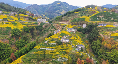 安徽歙縣：山鄉景色美