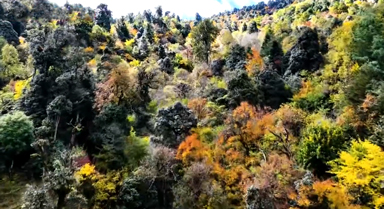 初冬的大理山野 藏著色彩斑斕的畫卷