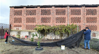 西班牙实施全国家禽圈养措施