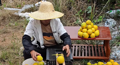 農民自制“分果器”篩選大小臍橙