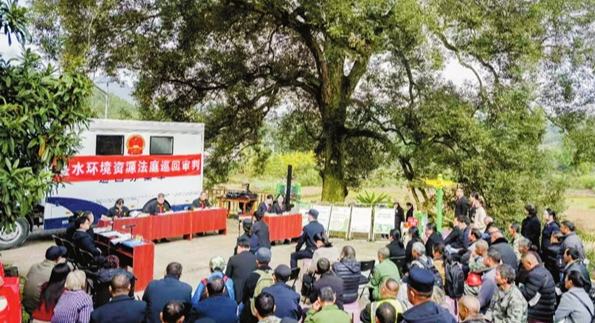 古樹保護區巡回審理失火案