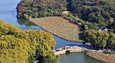 浙江杭州:西湖景色如畫