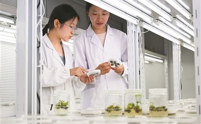 新農科建設，項目實踐走向鄉村大地