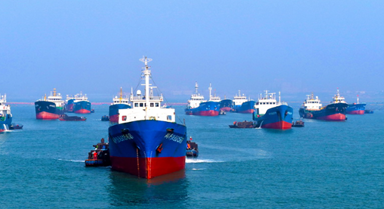 山东荣成:鲍鱼苗“南迁”