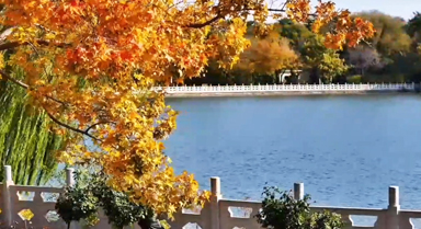 大运河15秒|冬日“调色板”