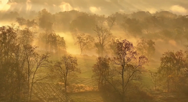 安徽休寧:水墨溪洲入畫來