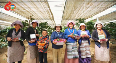 從機關干部,到高原車厘子的"知心人"