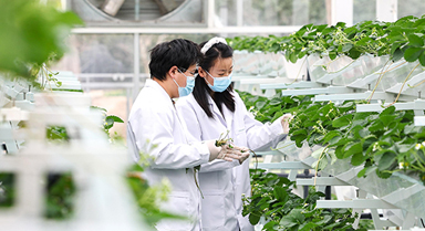 上海:实训基地学“智慧农业”