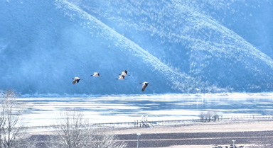 雲南普達措冬日限定美景已上線