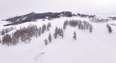 新疆哈巴河雾凇美景宛如水墨画