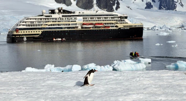 南極旅游，能"帶走"當地的小動物嗎?