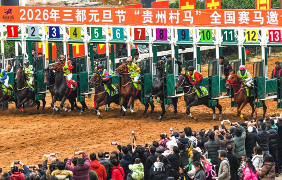 貴州“村馬”迎元旦