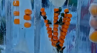 東北季節限定水果冰牆上線