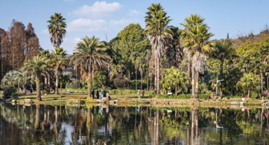 云南昆明:冬日绿意暖