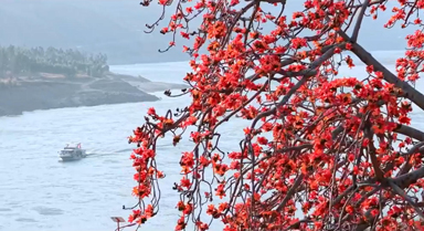 攀枝花长啥样？到攀枝花去看看