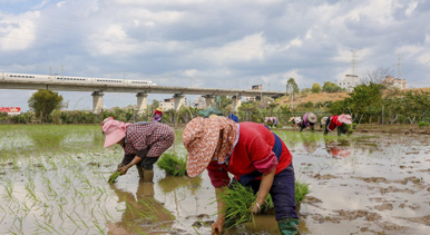 廣西梧州：春耕正當時