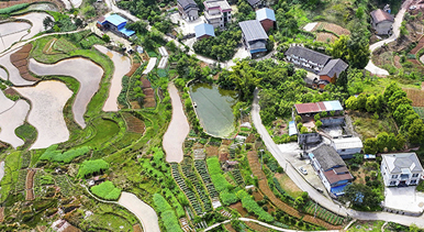 重庆：梯田美如画