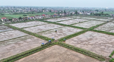 無人駕駛農機助力洞庭湖畔春耕作業