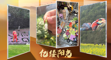 亿缕阳光｜在春天邂逅美好