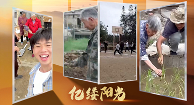 亿缕阳光·乡见｜向往的生活