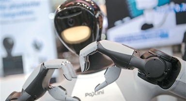 从“会跳舞”到“能干活”还有多远