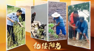 亿缕阳光·乡见|有我们
