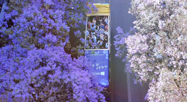 观云台丨最好什么季节去云南?
