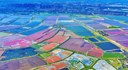 山西運城：夏日鹽湖色彩斑斕