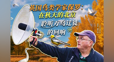 在秋日北京,聆听万鸟迁徙的回响